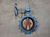 DEZURIK 14" Class 150 Butterfly Valve