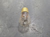 SPECTRO 115-125 Volts Miniature Bulb 6S6 (Box of 10)