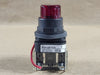 ALLEN-BRADLEY Push Button Illuminated 800H-QRTH24R, Red, 24V