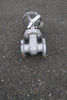 NEWAY 2", Class 150, Gate Valve, API 600 2G1RA8-000