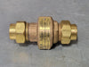 APOLLO 3/4" Dual Check Valve w/ Atmospheric Port DCAP 