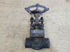 DHV 1", Class 800, Gate Valve F1800173