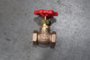 NEWLINE 1/2", 200 WOG, Globe Valve