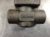 DOUGLAS CHERO 3/4", Class 1500, P-Check Valve, B16.34