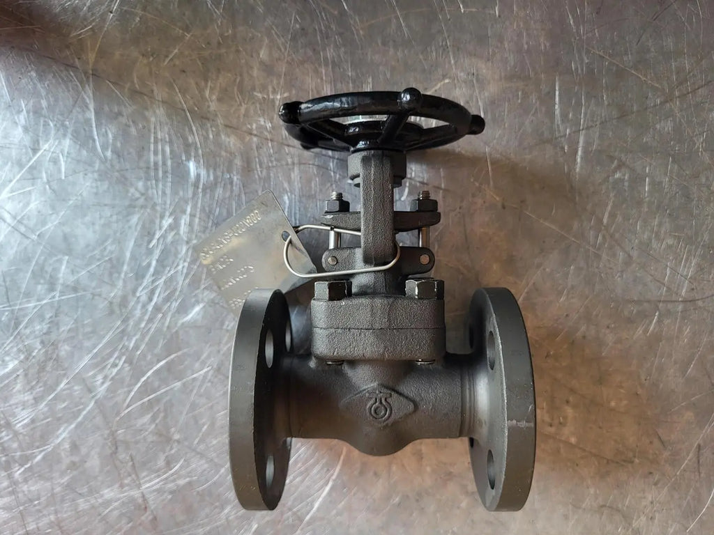 DONG KANG 3/4" Class 150 Gate Valve B16.34