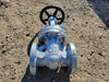 DHV 2" Class 300 Gate Valve B16.34