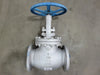 FZV 6" Class 150 Globe Valve API 624