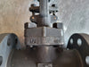 DONG KANG 2" Class 300 Gate Valve B16.34