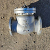 DSI 8" Class 150 Check Valve 