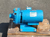 PACO PUMPS 3 hp Centrifugal Pump 10-10707-13000-11601 w/ Motor JMM3158T-5