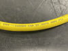 ALLEN-BRADLEY 20ft 16/4 AWG Mini Cable w/ 4 Pin Female Plug 889N-F4AF-20F