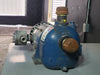 GORMAN-RUPP Self-Priming Centrifugal Pump 81 1/4A3-X.50 1P w/ 1/2HP Motor