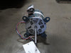 GENTEQ 1/3 hp, 370 volts, 1550 rpm Electric Motor 